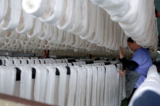 Trăn trở vùng nguyên liệu tơ tằm