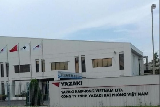 Hải Phòng: Mở rộng hợp tác đầu tư với doanh nghiệp thành phố Kobe Nhật Bản