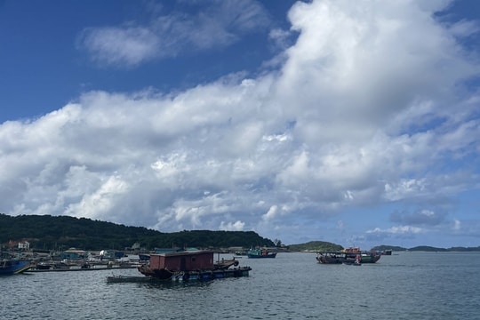 Quảng Ninh: Quyết tâm “xoá sổ” phao xốp bảo vệ môi trường