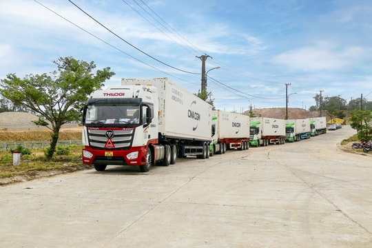 Logistics tăng sức cạnh tranh cho nông sản xuất khẩu
