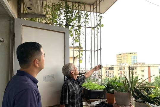 Hải Phòng: Yêu cầu hoàn thành tháo dỡ "chuồng cọp" chung cư trong tháng 12