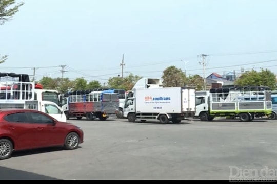 TP.HCM: Lo ngại quá tải các trung tâm đăng kiểm dịp cuối năm