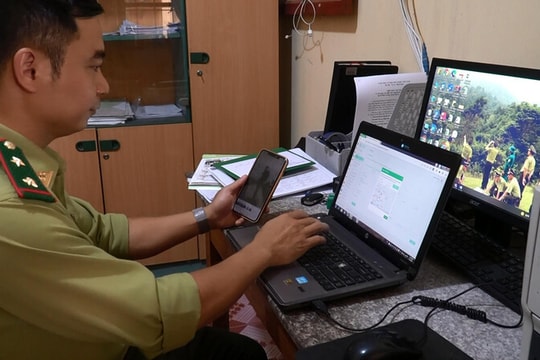 3 vấn đề chính trong chuyển đổi số ngành lâm nghiệp