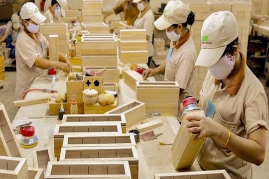 Minh bạch sản xuất lâm nghiệp - “visa” cho lâm sản vào EU