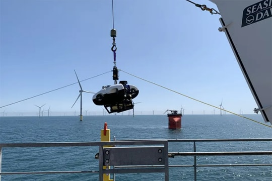 Công ty khởi nghiệp phát triển ứng dụng cung cấp dữ liệu dưới biển