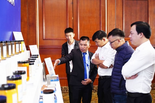 Giải pháp mới cho ngành phụ gia bê tông