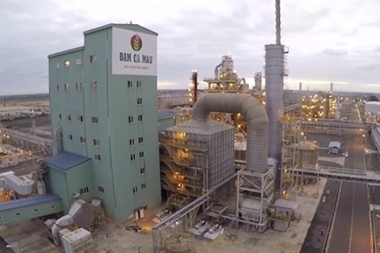 DCM: Đảo ngược kết quả quý III với dự phóng lợi nhuận sớm cải thiện