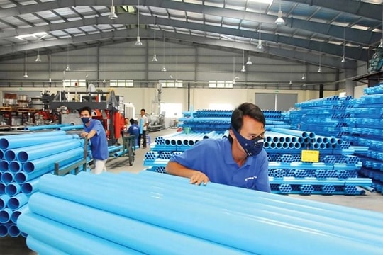 BMP “đẻ trứng vàng”