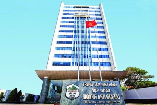 3 nhà đầu tư mua 130 triệu cổ phiếu riêng lẻ của HAG là ai?