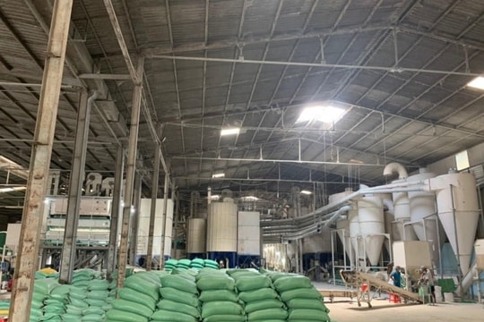 AGM xoay xở giữa khó khăn