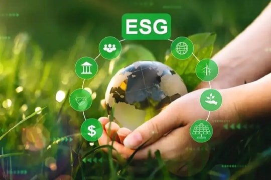 Chỉ 7 doanh nghiệp niêm yết trong rổ VN100 có báo cáo đầy đủ về ESG