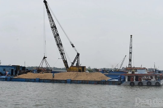 Nên tăng mức tiền đặt cọc trong đấu giá để phòng, trừ hệ lụy