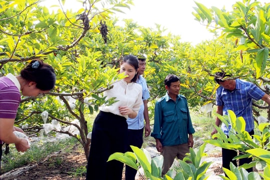 Lục Nam (Bắc Giang): Phát triển sản phẩm OCOP từ thế mạnh chủ lực