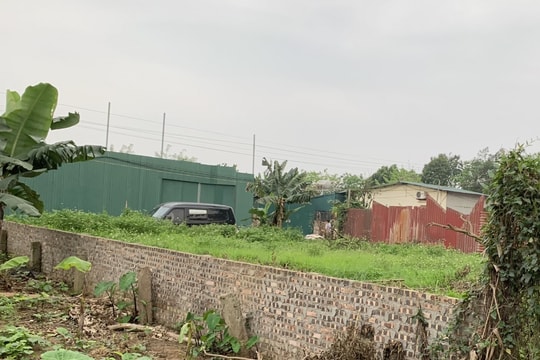 Cảnh báo "bẫy" lừa đảo khi mua nhà trên đất nông nghiệp