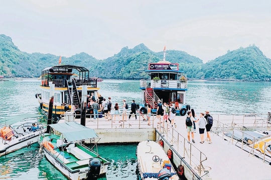 Để Cát Bà không “ngủ đông”