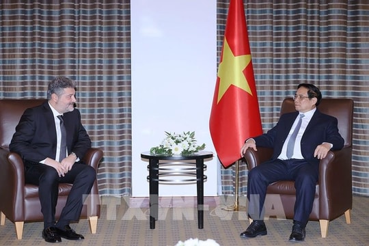 Tập đoàn Hayat đang làm ăn ra sao ở Việt Nam?