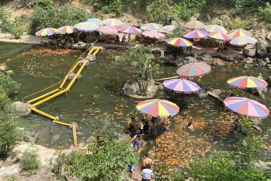 Nghệ An tạo “điểm nhấn” để du lịch thành ngành kinh tế mũi nhọn
