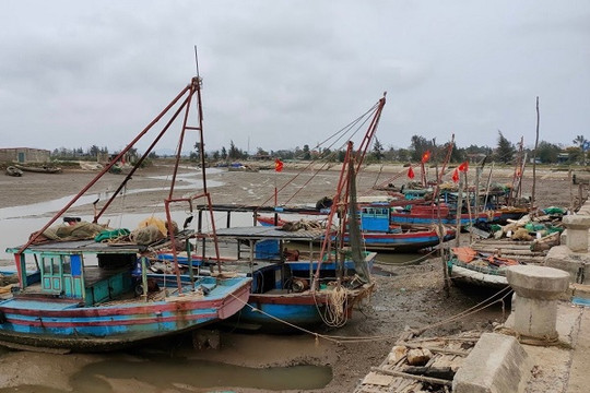 Thanh Hóa: Tìm giải pháp giúp cảng cá hơn 43 tỷ đồng “thoát ế”