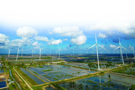 Đưa hình ảnh Bạc Liêu đến với nhà đầu tư