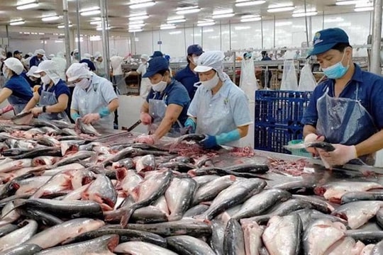 Doanh nghiệp thuỷ sản vẫn gặp khó cuối năm