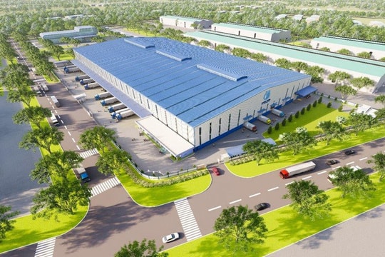 Western Pacific Group: