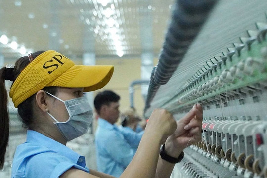 Doanh nghiệp Thái Bình tận dụng các FTA để phát triển và hội nhập