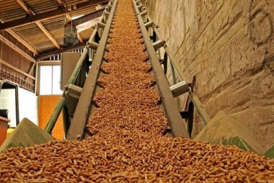 Gặp khó ở thị trường chính, xuất khẩu viên nén gỗ có "về đích"?