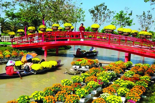 Đặc sắc du lịch Đất Sen hồng