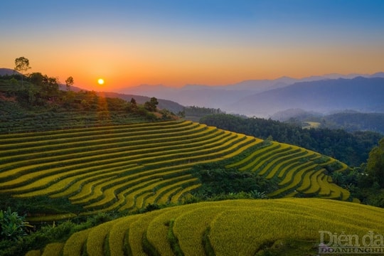 Quảng Ninh: Lợi thế trải nghiệm du lịch nông nghiệp