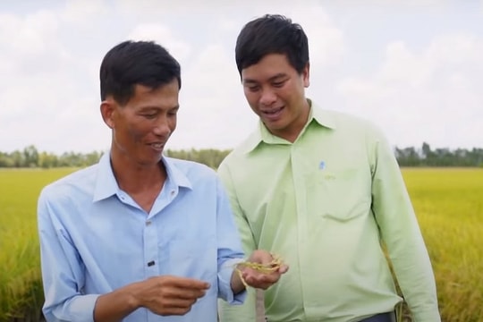 VINASEED – Xây dựng chuỗi giá trị lúa gạo bền vững mang văn hóa của Việt Nam đến với thế giới