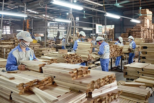 Tuyên Quang: Thu hút đầu tư vào các KCN, CCN