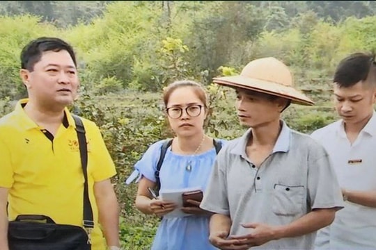 Agribank Bắc Kạn: “Hạt giống” tốt cho nông nghiệp, nông thôn