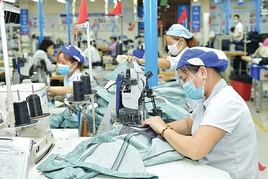 Nghị quyết 41-NQ/TW: Hoàn thiện chính sách thúc đẩy ngành dệt may phát triển