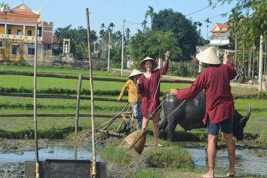 Liên kết điểm đến du lịch nông thôn Quảng Nam