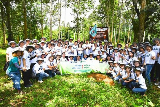 P&G Việt Nam tiếp tục “ẵm” nhiều Giải thưởng CSR