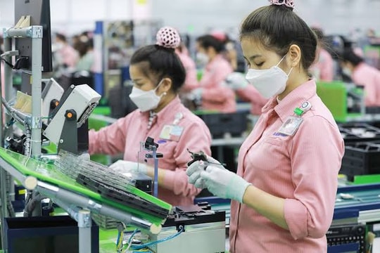 Áp dụng thuế tối thiểu toàn cầu: Doanh nghiệp cần làm gì?