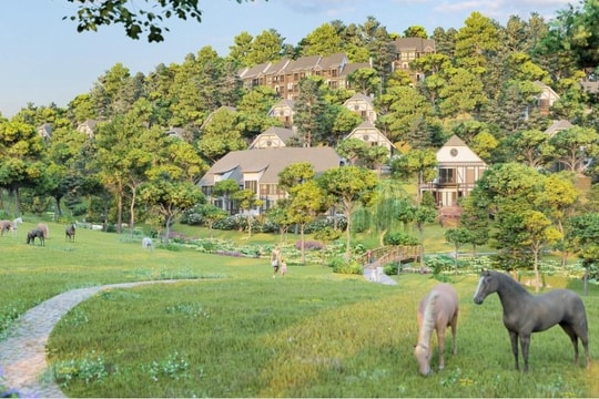 SASCO sẽ thực hiện theo đúng yêu cầu của UBND tỉnh Lâm Đồng