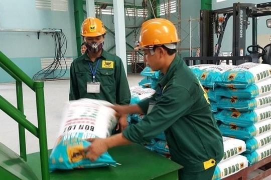 Phân bón Bình Điền: Nền tảng cốt lõi tạo thành công