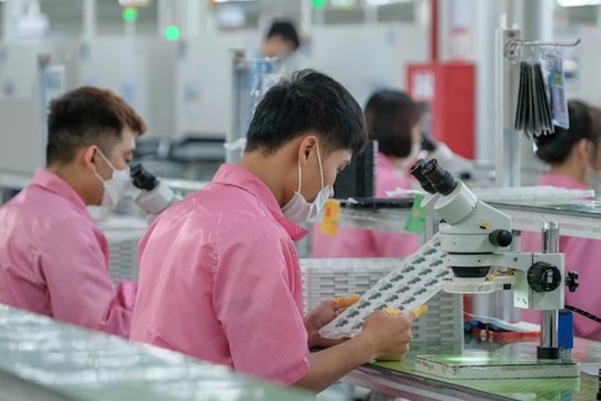 Lương tối thiểu vùng 2024: Mức tăng 6% phù hợp với thực tế