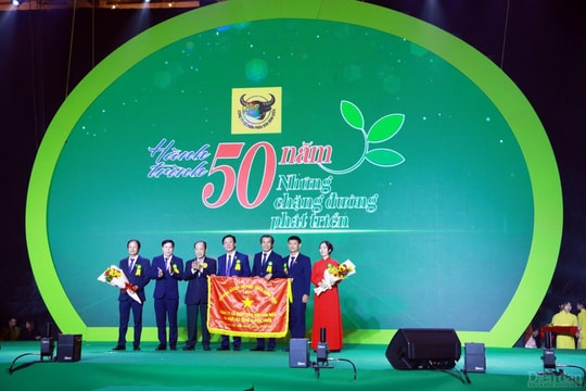 Bình Điền và chiến lược phát triển bền vững