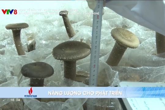 Đà Nẵng trở thành điểm sáng trong phát triển thị trường khoa học công nghệ