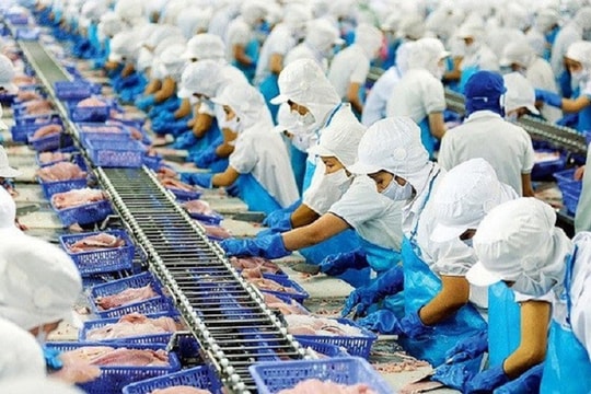 Quảng Ninh: Hỗ trợ doanh nghiệp tận dụng các FTA để phát triển