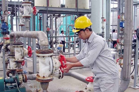 Lùi thời hạn trả cổ tức, tình hình kinh doanh CSV ra sao?