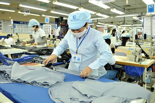 Doanh nghiệp tìm kiếm nhiều đơn hàng mới từ thị trường Mỹ
