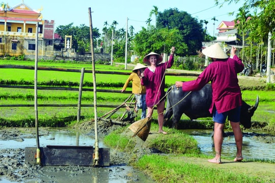 Hướng đi bền vững cho  du lịch nông thôn Quảng Nam