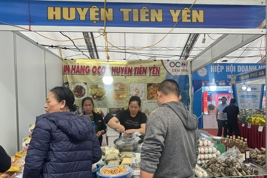 Quảng Ninh: Doanh nghiệp nỗ lực để hoàn thành kế hoạch
