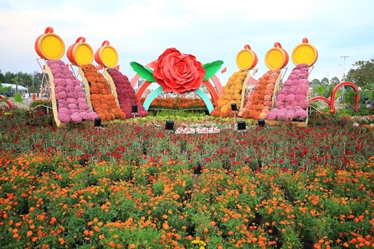 Khai mạc Festival Hoa - Kiểng Sa Đéc “Tình đất - Tình hoa”