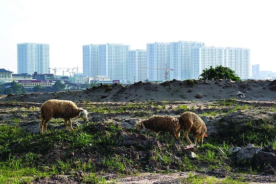 Khơi thông ách tắc đầu tư dự án