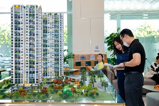 Thị trường bất động sản phía Nam chuyển biến tích cực