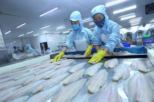 Kỳ vọng tăng kim ngạch xuất khẩu sang thị trường Anh năm 2024